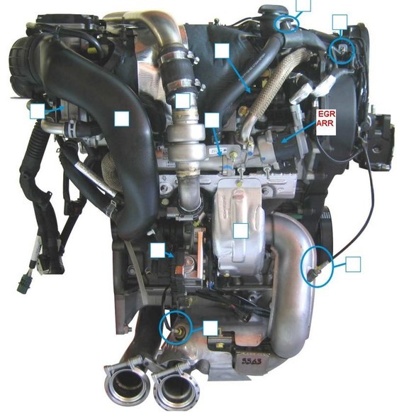 Vue arrière V6 HDi Citroën C6
